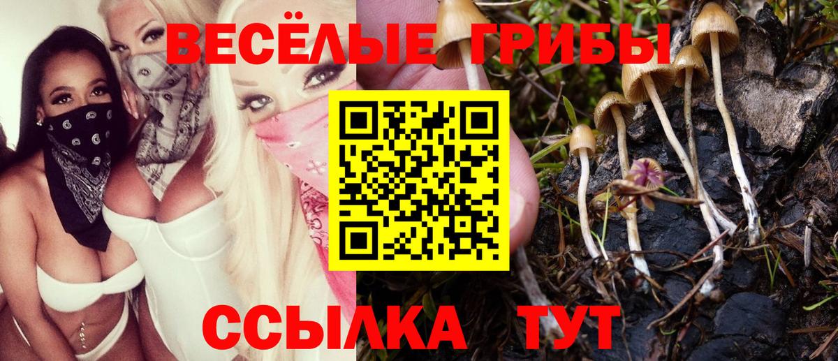 Псилоцибиновые грибы ЛСД Назарово