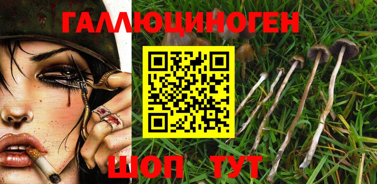 Назарово  Псилоцибиновые грибы MAGIC MUSHROOMS  Вход с VPN 